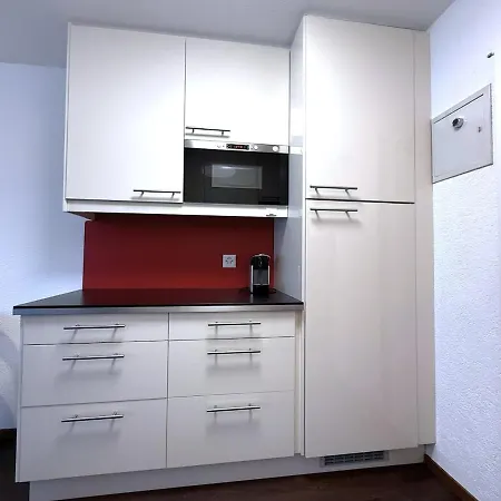 Laerchenwald 1904 - Neu Renoviert, Neben Skigebiet Appartement *