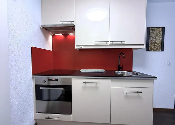 Laerchenwald 1904 - Neu Renoviert, Neben Skigebiet Appartement *